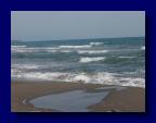 090606-161448 (Andreas Kofler)