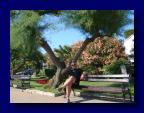 090613-155912 (Gaby Kreiner)