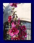 090613-160354 (Gaby Kreiner)