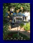 090613-162226 (Gaby Kreiner)